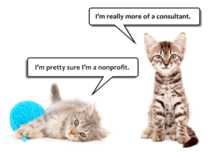 CASL_kittens_nonprofitconsultant