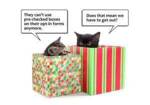 CASL_kittens_precheckedboxes