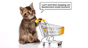 CASL_kittens_shoppingcart2