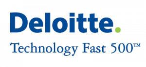 deloitte_011-300x139