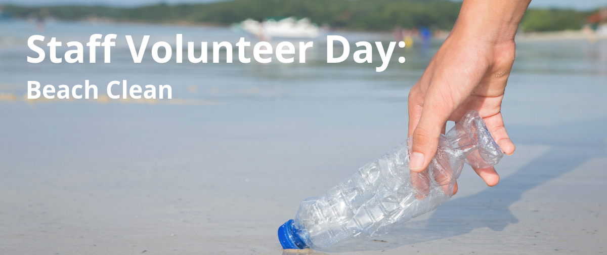 Staff Volunteer Day: Beach Clean