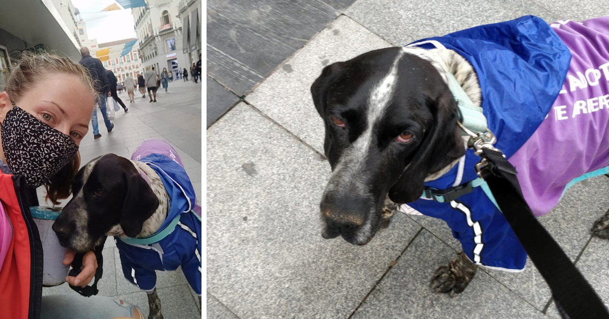 A picture of Teresa walking a dog.
