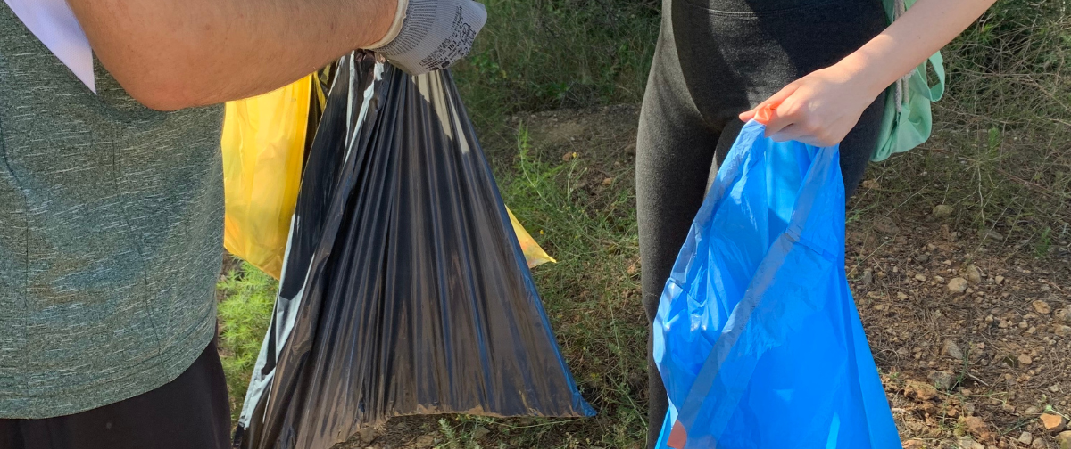 Staff Volunteer Day: Not Your Average Hike