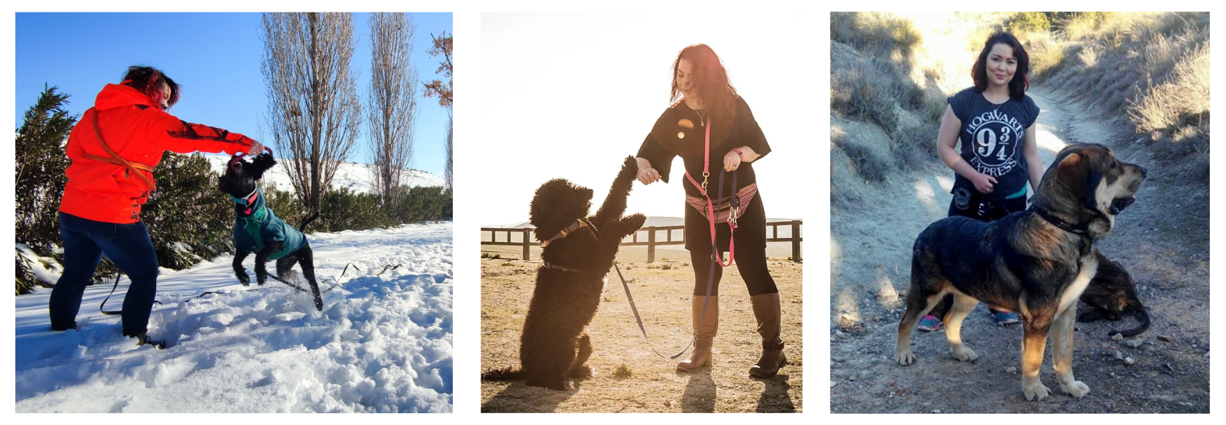 three images of a woman playing with dogs