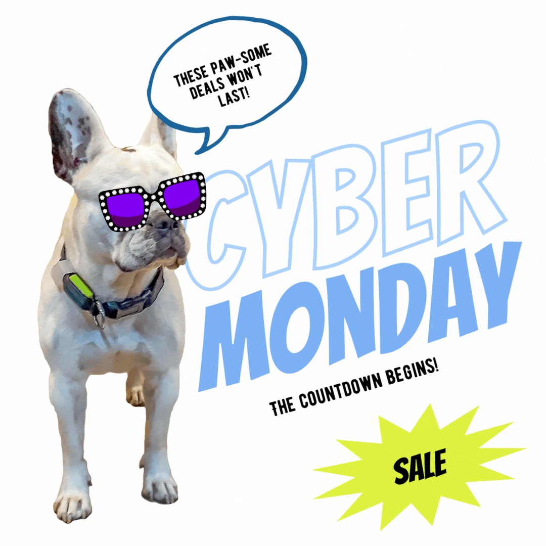 gif of a white frenchie wearing sunglasses saying cyber monday